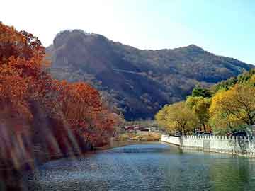 大三巴一肖二码最准，快餐桌图片